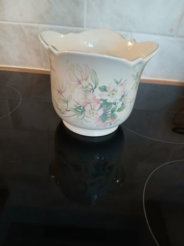 1977 royal winton plant pot - plant,